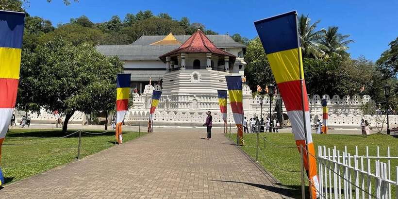 From Colombo: Kandy & Pinnawala & Tea Factory Full Day Trip - Key points to know before you book