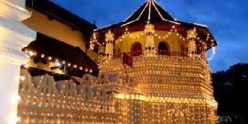 From Colombo: Kandy & Pinnawala & Tea Factory Full Day Trip - What the $45 price really covers