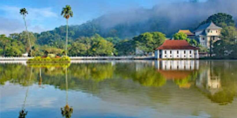 From Colombo: Kandy & Pinnawala & Tea Factory Full Day Trip - Kandy Lake, viewpoints, and the cultural show