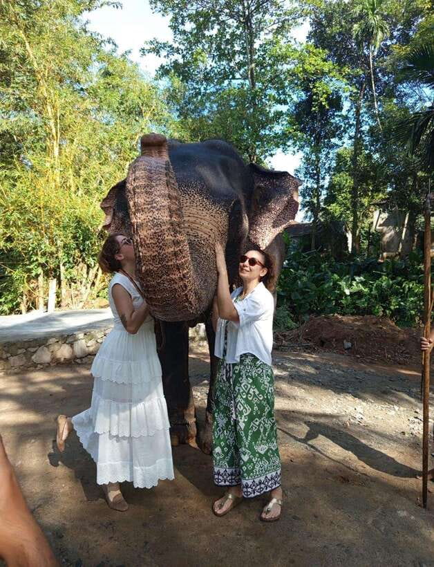 From Colombo or Negombo: Pinnawala, Kandy & Tea Factory Tour - Pinnawala and the river elephants