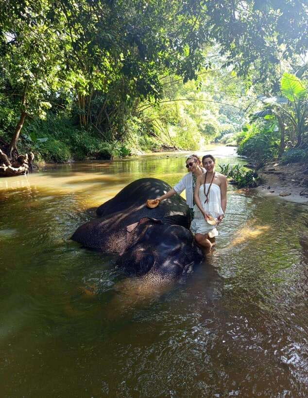 From Colombo or Negombo: Pinnawala, Kandy & Tea Factory Tour - Kandy viewpoints and the Kandyan Cultural Centre