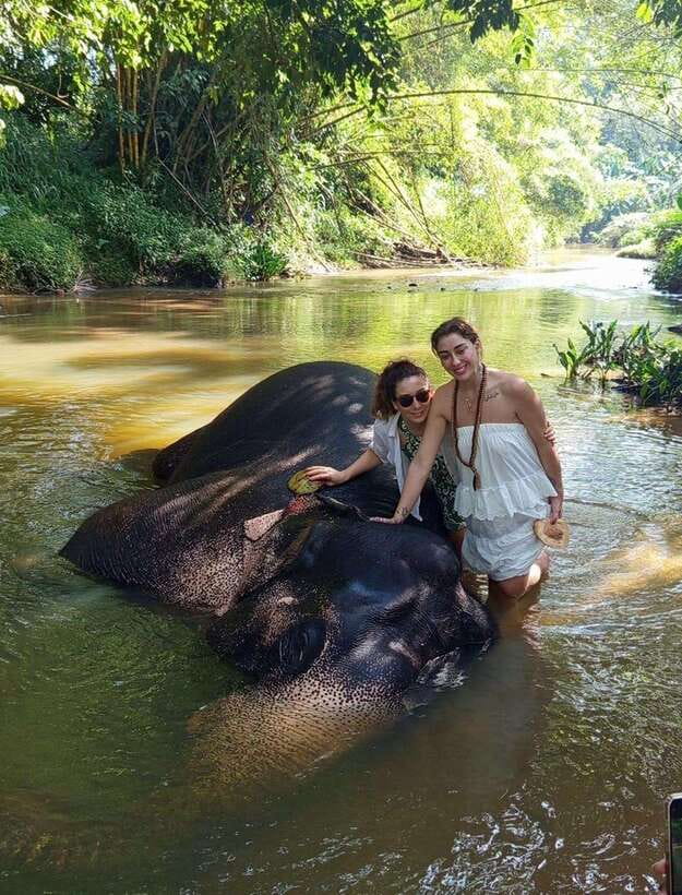 From Colombo or Negombo: Pinnawala, Kandy & Tea Factory Tour - How demanding is this day?