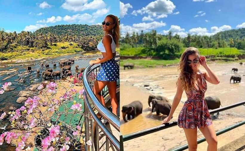 From Colombo: Pinnawala & Tea factory with Kandy Hotel Drop - Transport, drivers, and the shape of the day