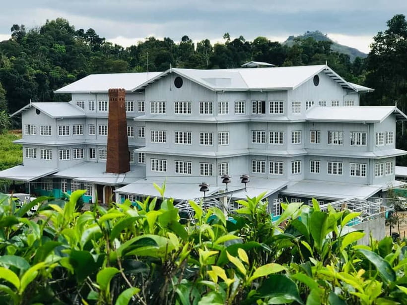 From Colombo: Pinnawala & Tea factory with Kandy Hotel Drop - What the $60 price really covers