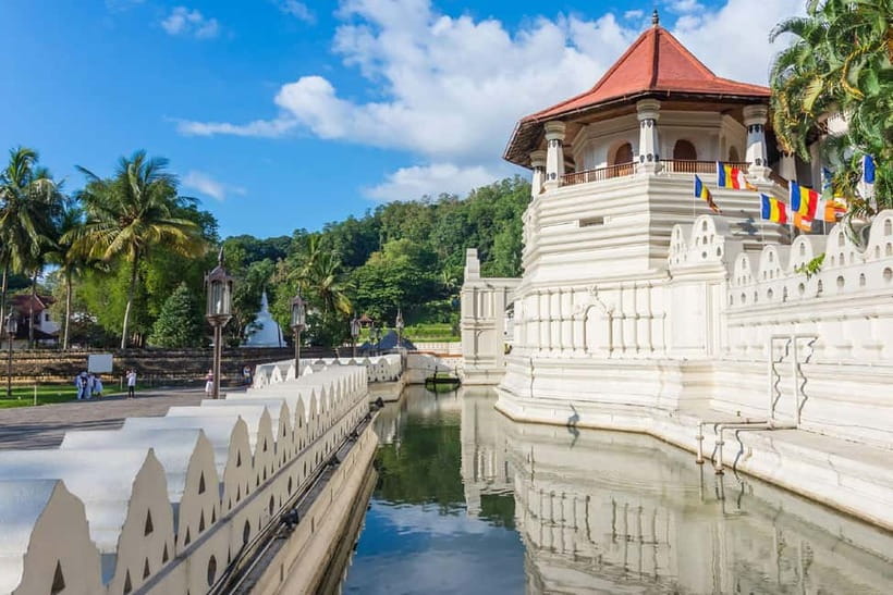 From Colombo: Pinnawala & Tea factory with Kandy Hotel Drop - Who should book this experience?