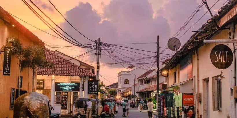 From Colombo: Virgin White Tea and Galle City Tour - Handunugoda Tea Factory and the story of Virgin White Tea