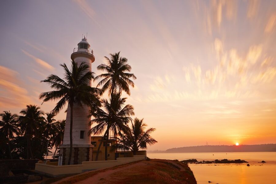 From Colombo: Virgin White Tea and Galle City Tour - Cost, inclusions, and the real value