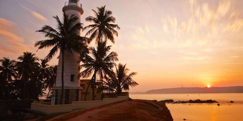 From Colombo: Virgin White Tea and Galle City Tour - The 8:00 AM pickup from Colombo
