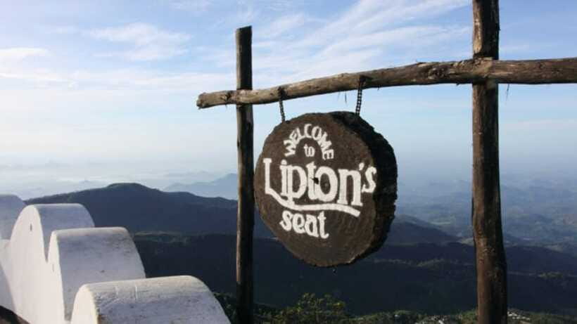 From Ella: Lipton Seat & Dambatenne Tea Factory Day Tour - Who should book this experience?