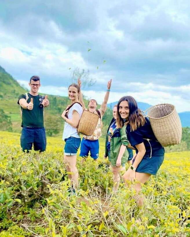 From Hikkaduwa/Galle/Mirissa : Waterfall & Tea Factory Tour - Key points to know before booking