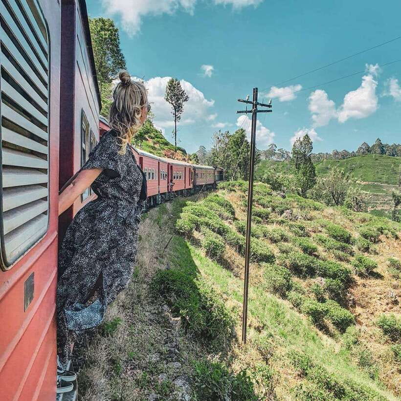 From Hikkaduwa/Galle/Mirissa : Waterfall & Tea Factory Tour - The Ella train ride toward Nine Arch Bridge