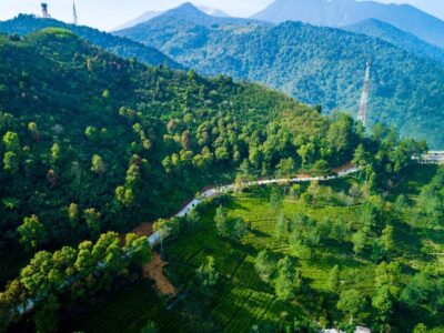 Safari Park, Tea Plantation & Jaksa Waterfall