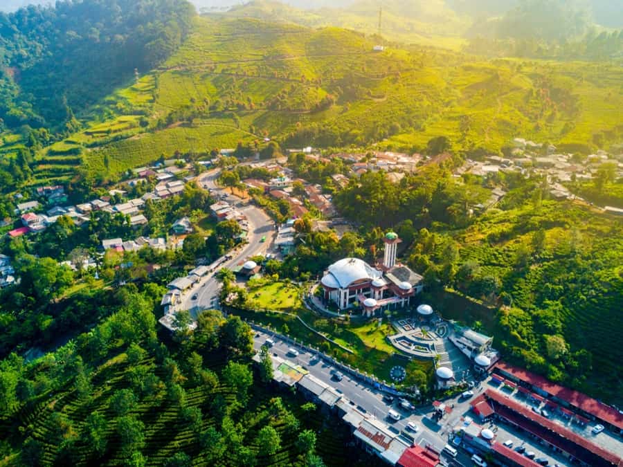 From Jakarta: Safari Park, Tea Plantation & Jaksa Waterfall - Should you book the Safari Park, Tea Plantation, and Jaksa Waterfall tour?