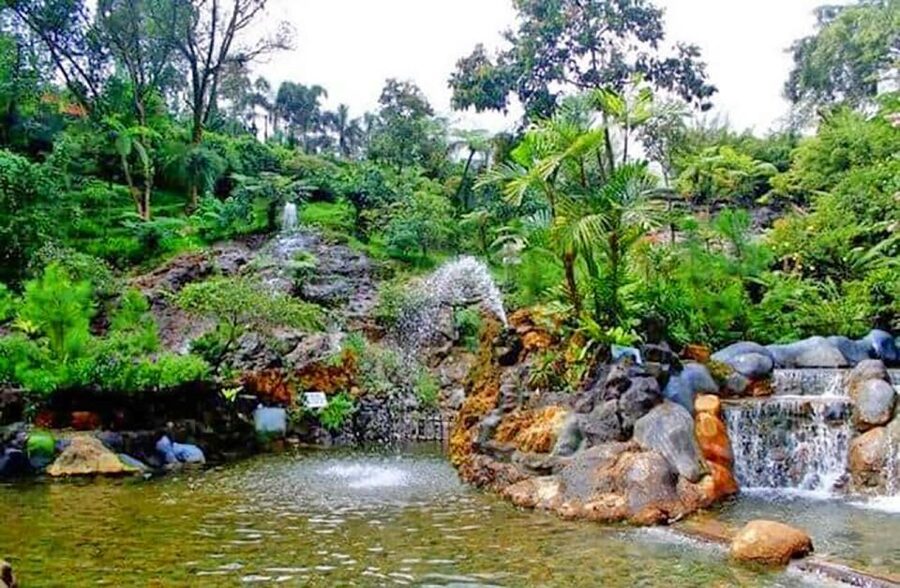 From Jakarta : Volcano, Tea & Rice Fields, Hot Spring - Luwak Coffee at Cikole