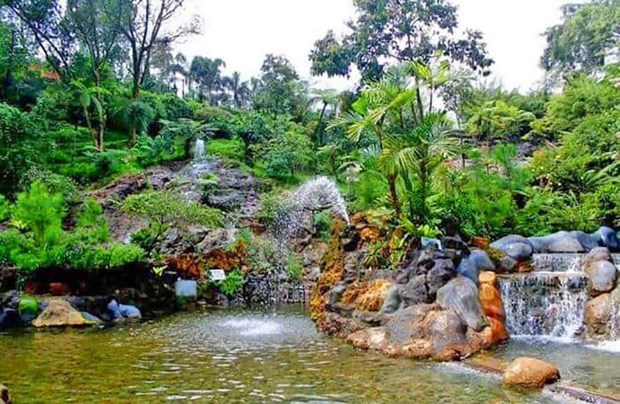 From Jakarta : Volcano, Tea & Rice Fields, Hot Spring - Tea Plantations Around the Volcano