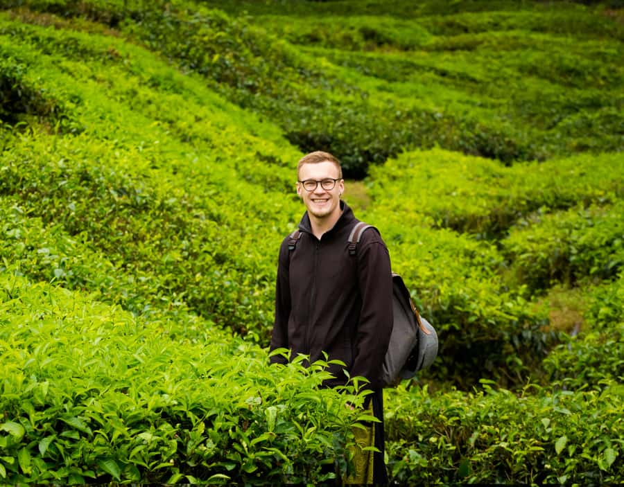 From KL: Cameron Highlands with BOH Habu & Sungei Tea Visit - Key Points At a Glance