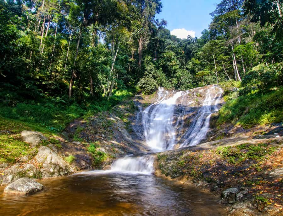 From KL: Cameron Highlands with BOH Habu & Sungei Tea Visit - Why This Day Trip Appeals to Me