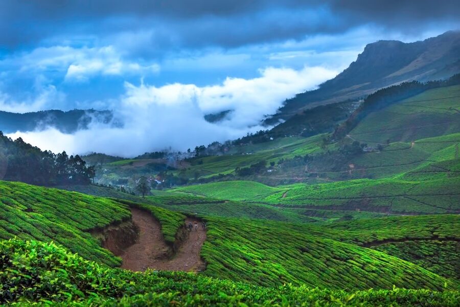 From Kochi: Munnar & Tea Museum Private Guided Tour - Leaving Kochi for the Munnar hills