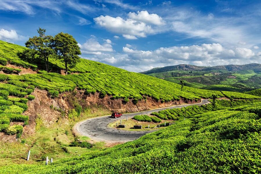 From Kochi: Munnar & Tea Museum Private Guided Tour - What $220 per person really buys