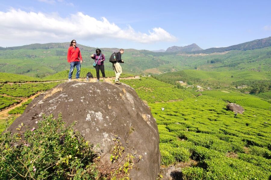 From Kochi: Munnar & Tea Museum Private Guided Tour - Cheeyappara and Valara waterfalls on the climb