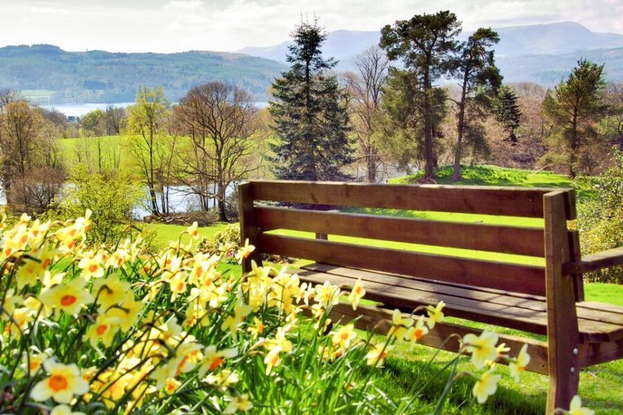 From London: Lake District Tour with Cream Tea & Cruise - Who should book this Lake District tour?