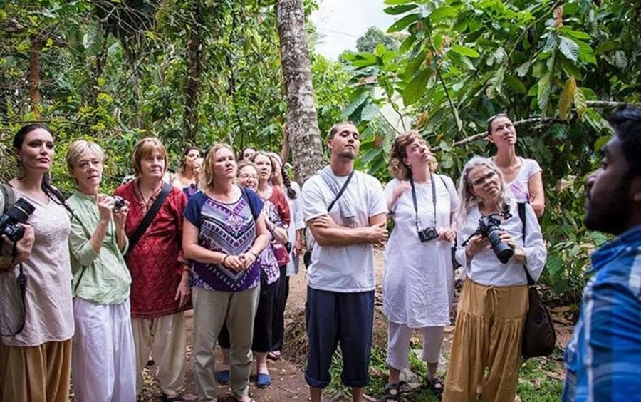 From Munnar: Tea Factory, Plantation, and National Park Tour - Key points at a glance