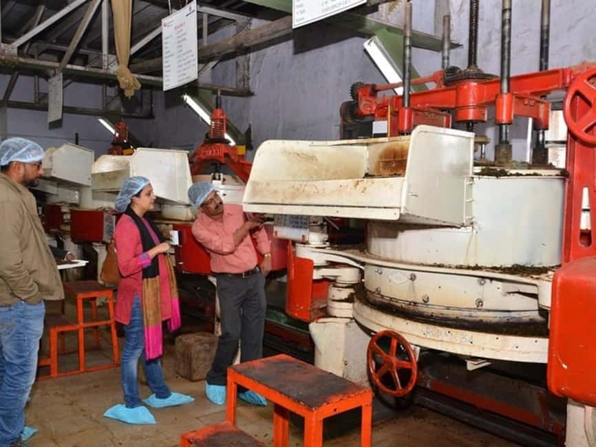 From Munnar: Tea Factory, Plantation, and National Park Tour - What the full-day Munnar route is really like