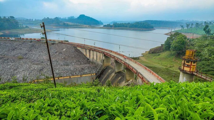From Munnar: Tea Factory, Plantation, and National Park Tour - Why the schedule may feel rushed