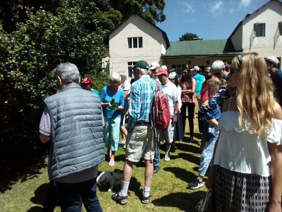 From Nairobi: Kiambethu Tea Farm Tour & Lunch - Walking through the gardens and tea plantation