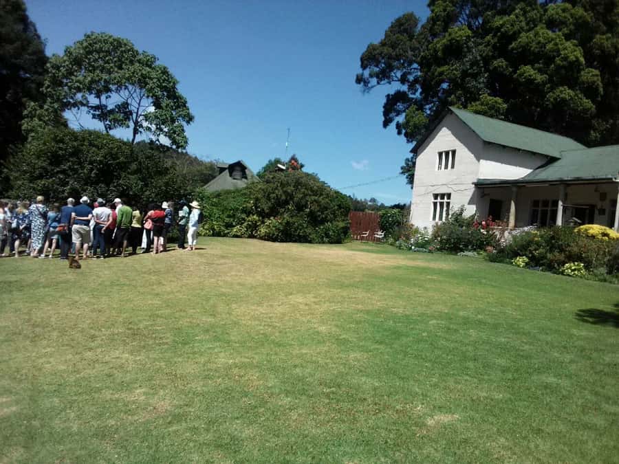 From Nairobi: Kiambethu Tea Farm Tour & Lunch - Looking for colobus monkeys in the indigenous forest