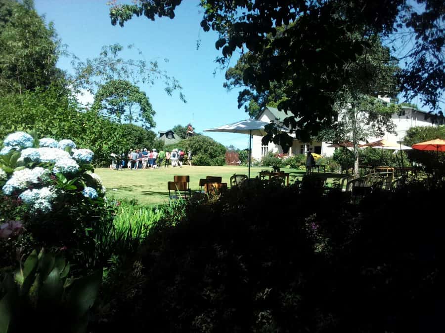 From Nairobi: Kiambethu Tea Farm Tour & Lunch - Is $160 per person a fair price?