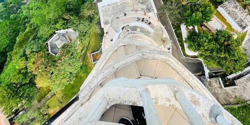 From Negombo: Ambuluwawa Tower & Tea Factory,Kandy Day Trip - Tea factory and estate visit