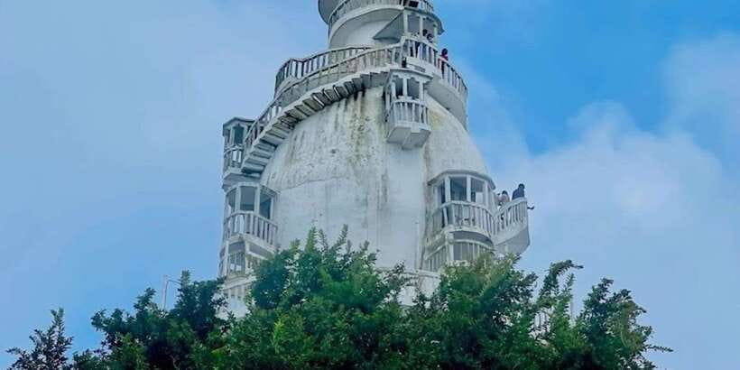 From Negombo: Ambuluwawa Tower & Tea Factory,Kandy Day Trip - Royal Botanic Gardens in Kandy