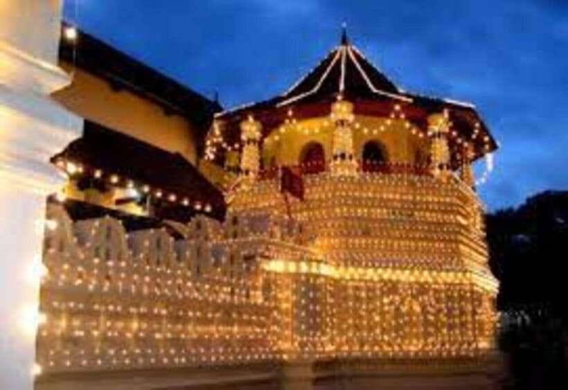 From Negombo : Pinnawala & Tea Factory & Kandy Full Day Trip - Who should book this tour?