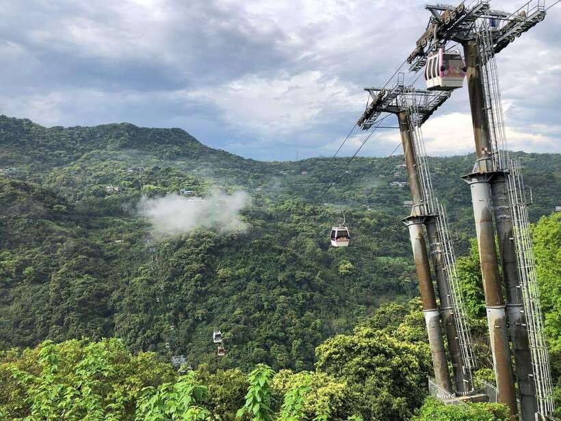 From Taipei: Pinglin Tea Culture and Maokong Guided Day Tour - Zhanghu Trail and Maokong’s tea country