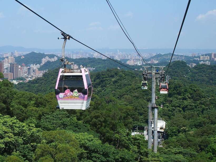 From Taipei: Pinglin Tea Culture and Maokong Guided Day Tour - Lunch in Maokong, with tea on the side