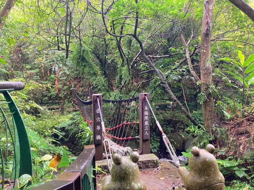 From Taipei: Pinglin Tea Culture and Maokong Guided Day Tour - Thousand Island Lake near Shiding