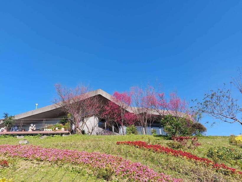 From Taipei: Pinglin Tea Culture and Maokong Guided Day Tour - Pinglin’s tea fields and museum