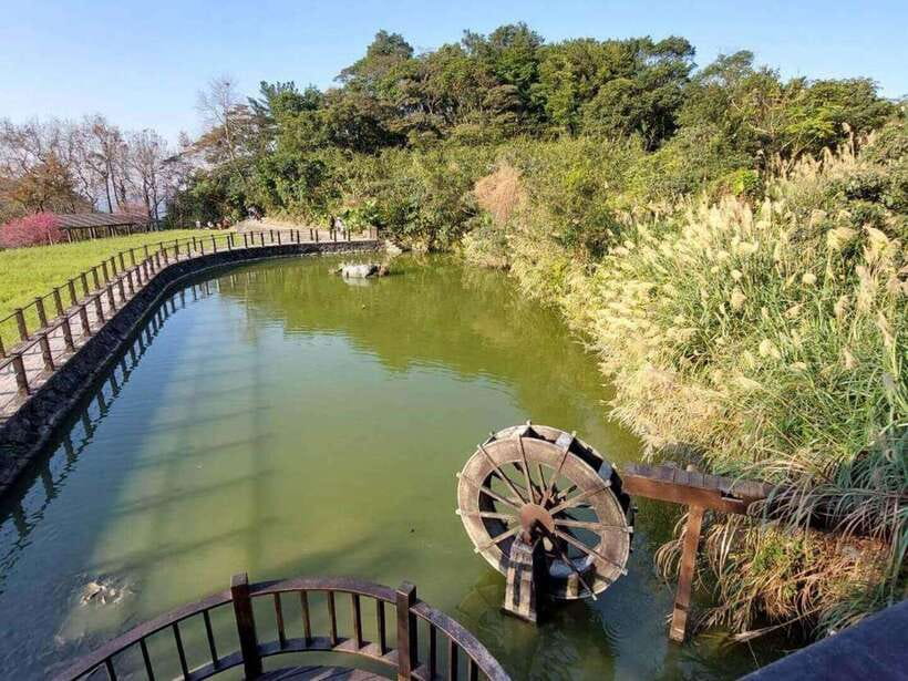 From Taipei: Pinglin Tea Culture and Maokong Guided Day Tour - The Pinglin tea tasting is the real centerpiece