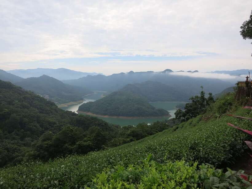 From Taipei: Thousand Island Lake and Pinglin Tea Plantation - Weather, comfort, and practical planning