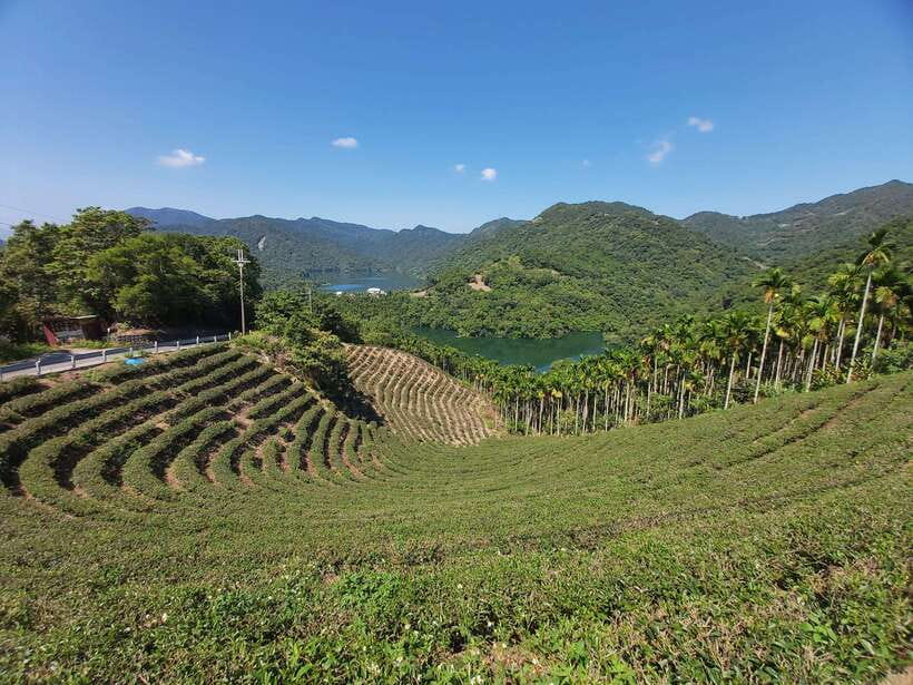From Taipei: Thousand Island Lake and Pinglin Tea Plantation - Pinglin Old Street and the local finish