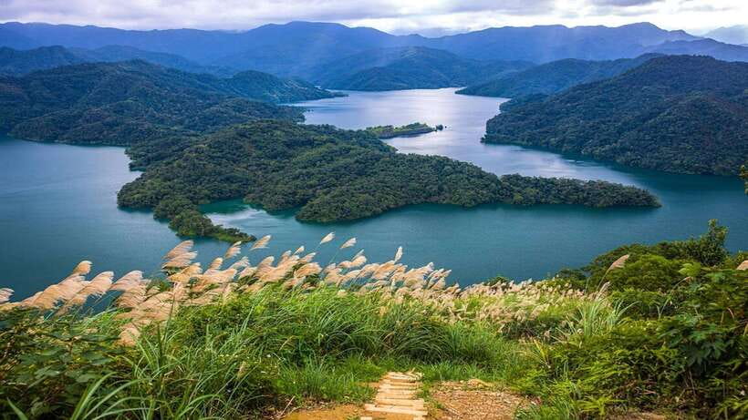From Taipei: Thousand-Island Lake & Tea Museum Private Tour - How the five hours are paced