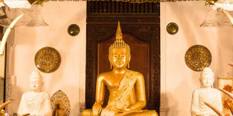From west coast: Kandy, Tooth temple, Botanical & Tea garden - Is the $84 price good value?