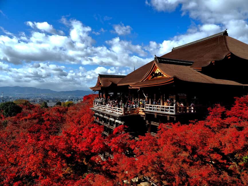FromOsaka:KatsuojiTemple,Kiyomizudera,Arashiyama,Matcha - What This Osaka to Kyoto Tour Does Well