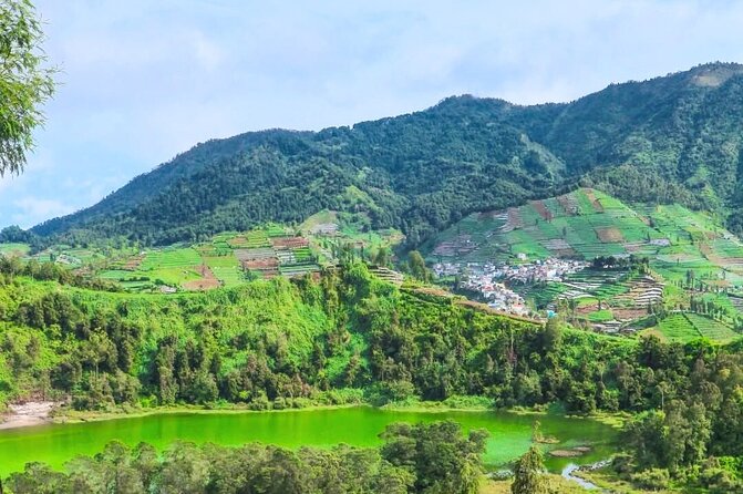 Full-Day Adventure: Tea Plantation & the Mystical Dieng Plateau - Sikatok Tea Garden: a calm first stop