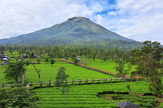 Full-Day Adventure: Tea Plantation & the Mystical Dieng Plateau - Arjuna Temple: an ancient cultural stop