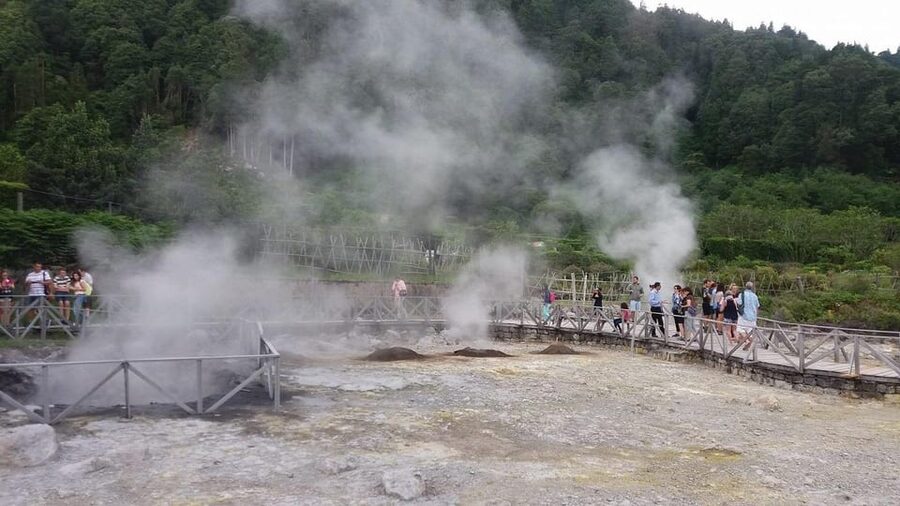 Full day Furnas | Hotsprings | Thermal Baths | Tea Factory - Gorreana Tea Factory and an important expectation