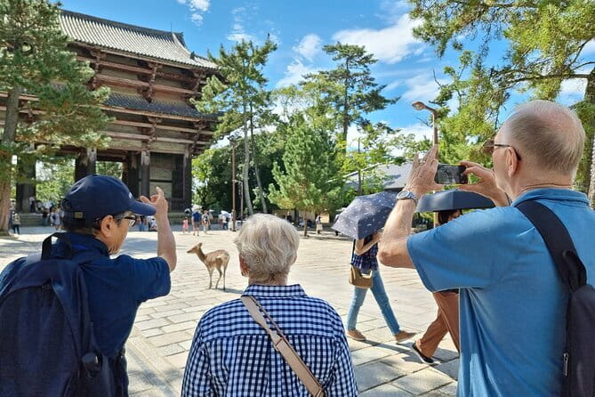 Full Day Nara Deer, Temple, Shrine, Activities & Tea Ceremony - Origami, calligraphy, and possible costumes
