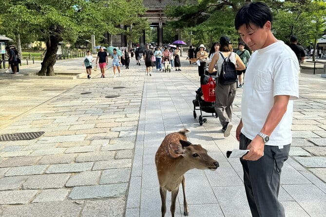 Full Day Nara Deer, Temple, Shrine, Activities & Tea Ceremony - Gangoji Temple and the demon of Gangoji