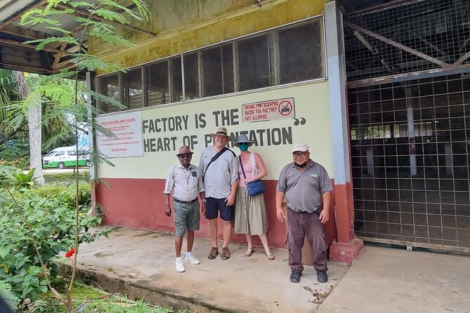 Full Day Sabah Tea Plantation & WWII Memorial - How the private format affects the value